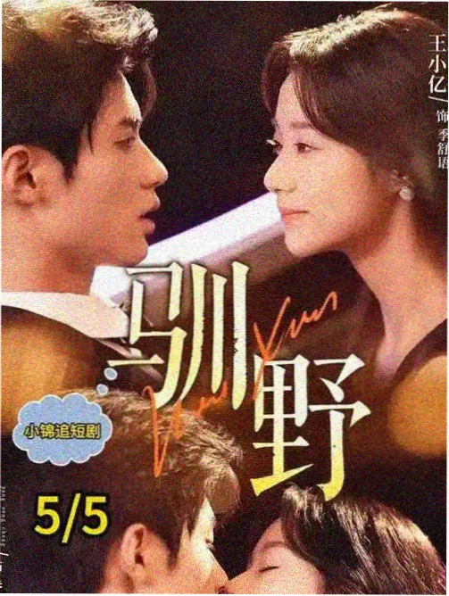 罪案笔记第二季剧集海报